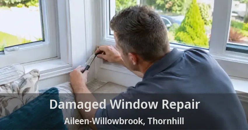 Damaged Window Repair Aileen-Willowbrook, Thornhill - ON