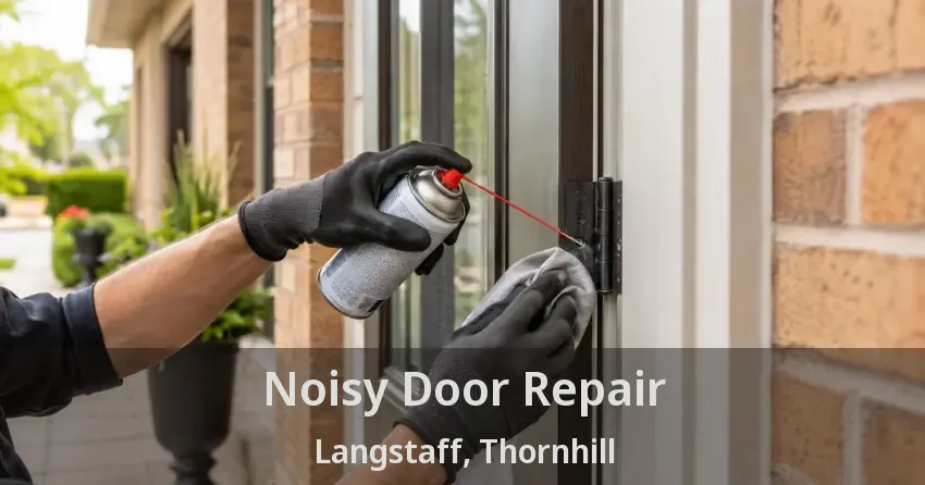 Noisy Door Repair Langstaff, Thornhill - ON