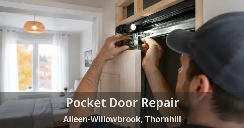 Pocket Door Repair Aileen-Willowbrook, Thornhill - ON