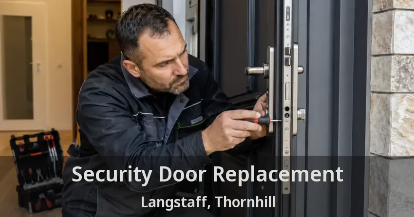 Security Door Replacement Langstaff, Thornhill - ON